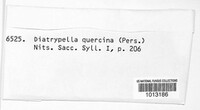 Diatrypella quercina image